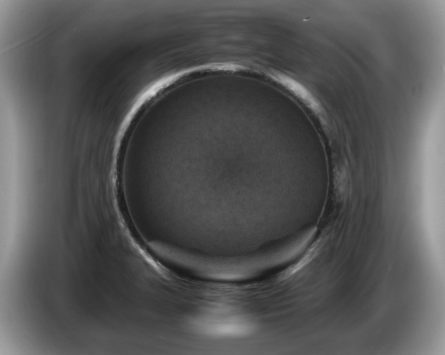 X0000087621327200704271351