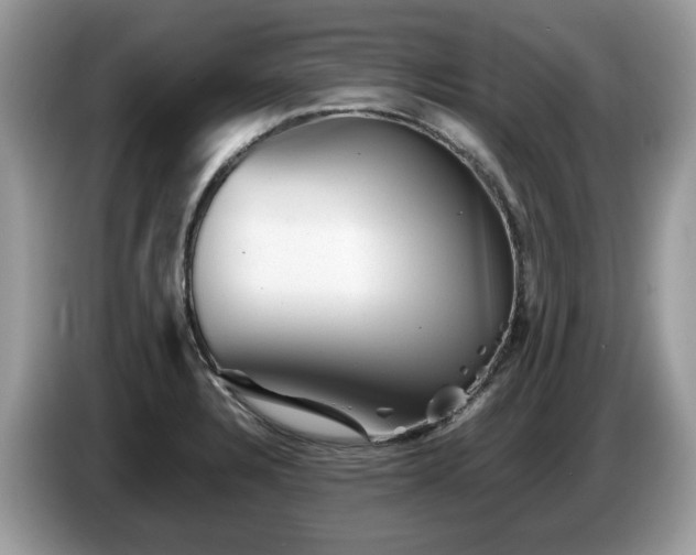 X0000087621328200704271351