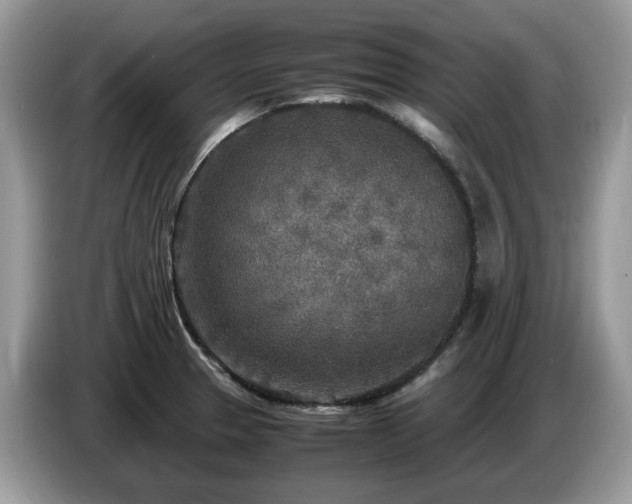 X0000087621329200704271351