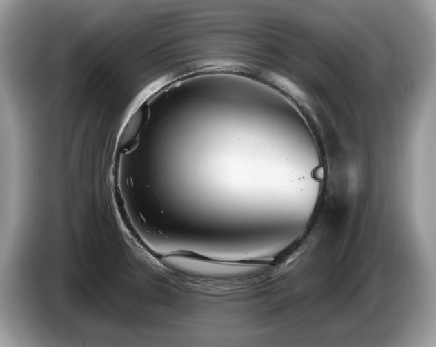X0000087621330200704271351