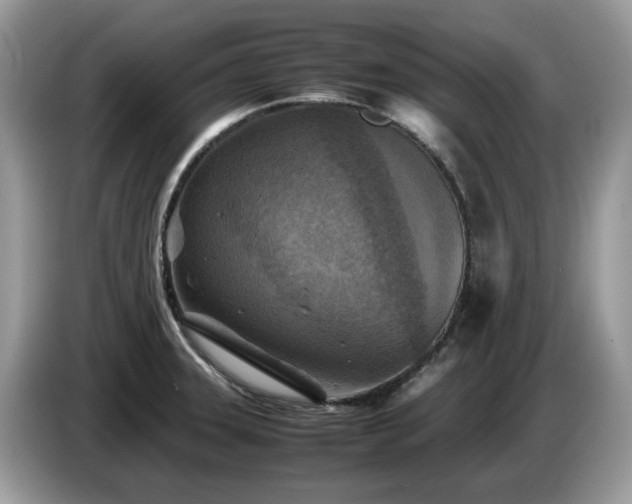 X0000087621331200704271351