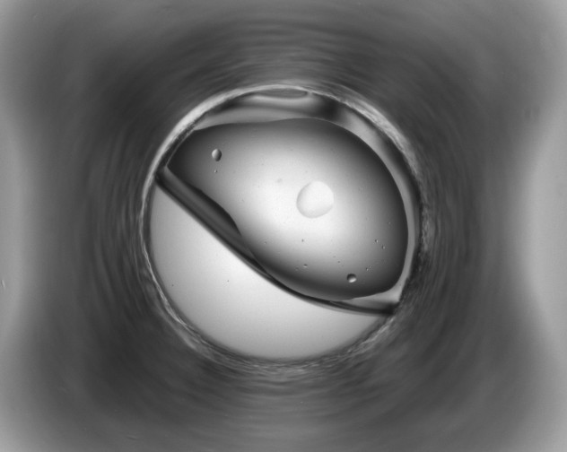 X0000087621332200704271351