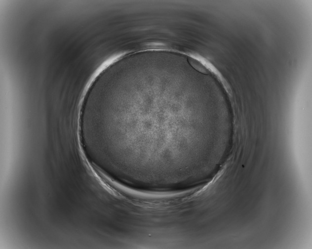 X0000087621333200704271351