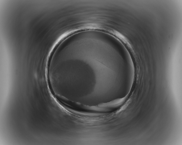 X0000087621334200704271351