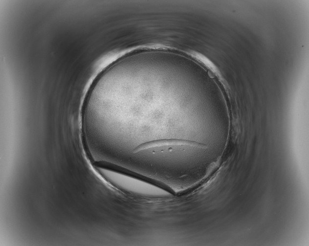 X0000087621335200704271351