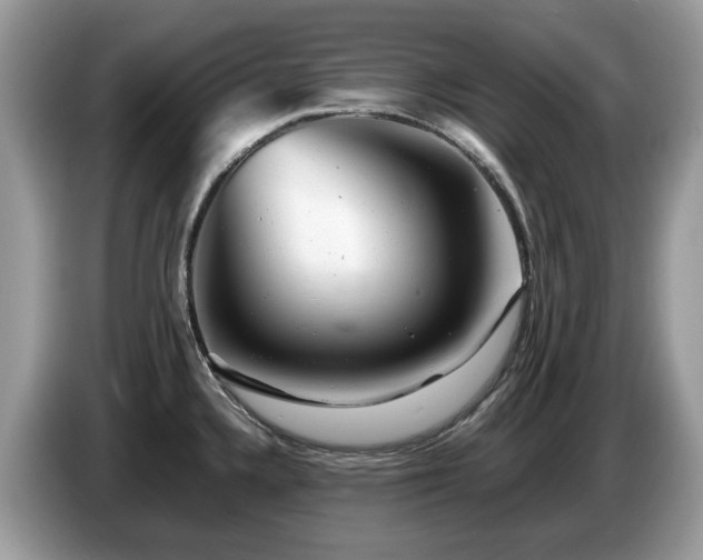 X0000087621336200704271351