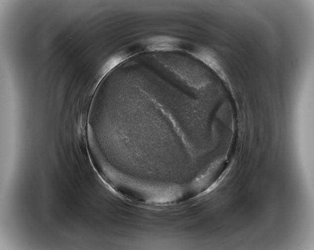 X0000087621337200704271351