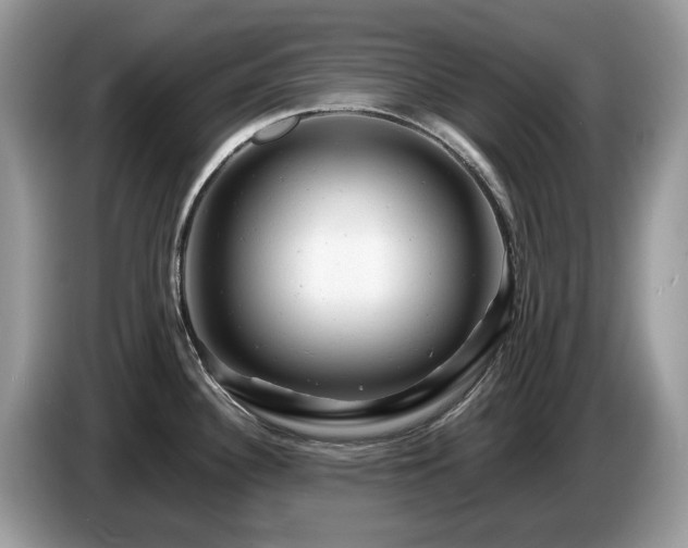 X0000087621340200704271352