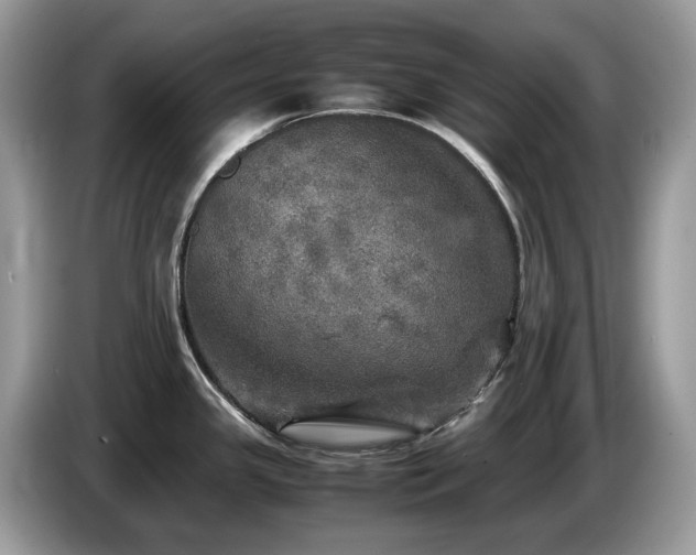 X0000087621341200704271352