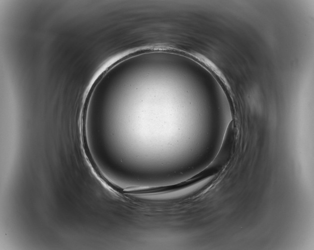 X0000087621343200704271352