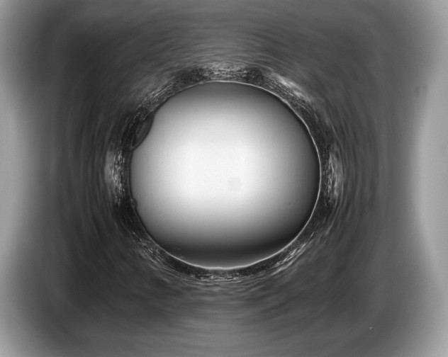 X0000087621346200704271351