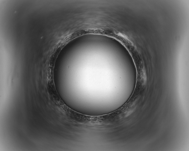 X0000087621350200704271351