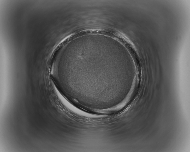 X0000087621352200704271351