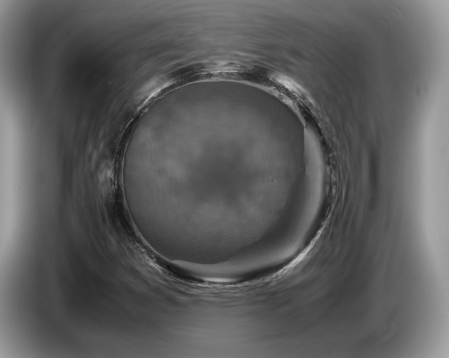 X0000087621353200704271351