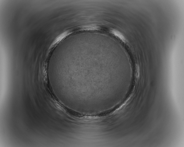 X0000087621354200704271351