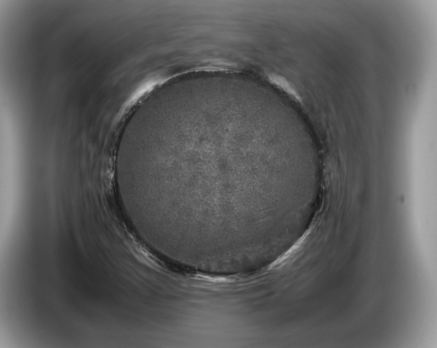 X0000087621355200704271351