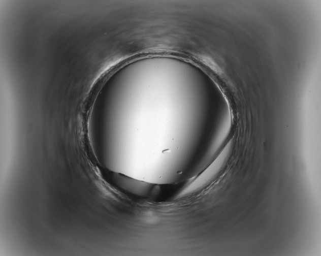 X0000087621356200704271351