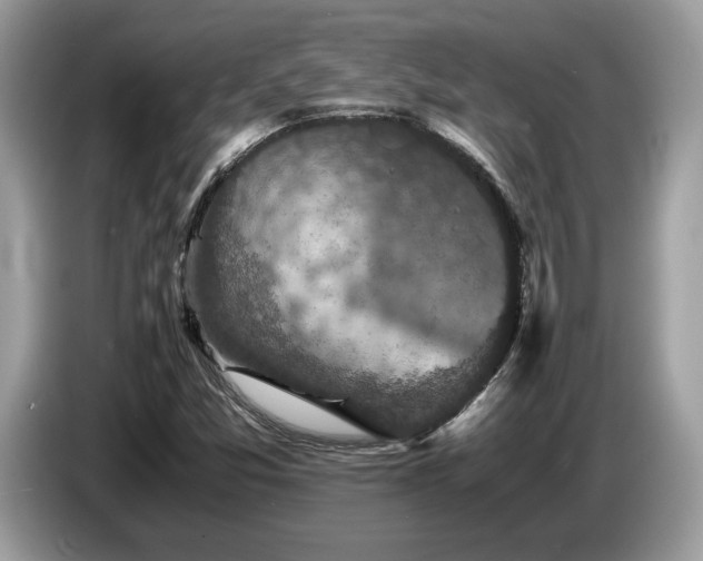 X0000087621357200704271351