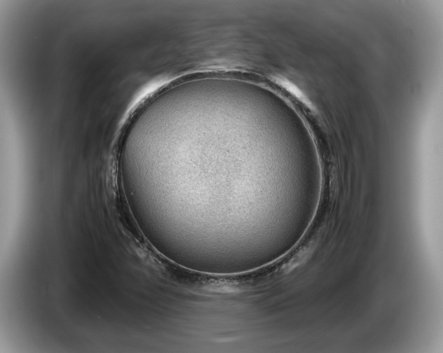 X0000087621358200704271351