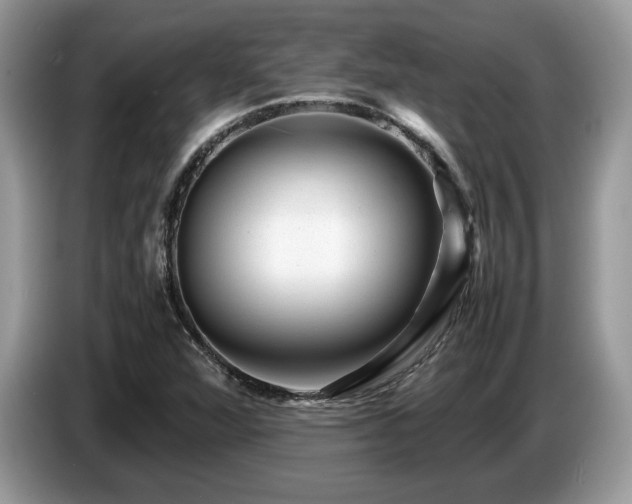 X0000087621360200704271351