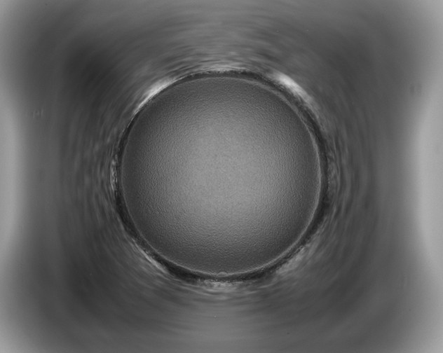 X0000087621361200704271351