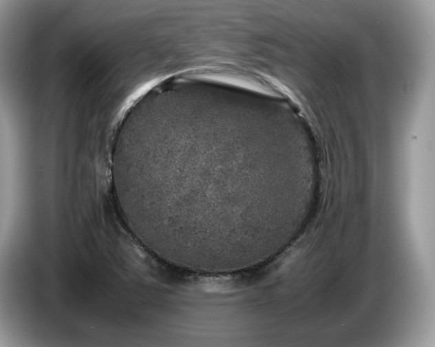 X0000087621363200704271351