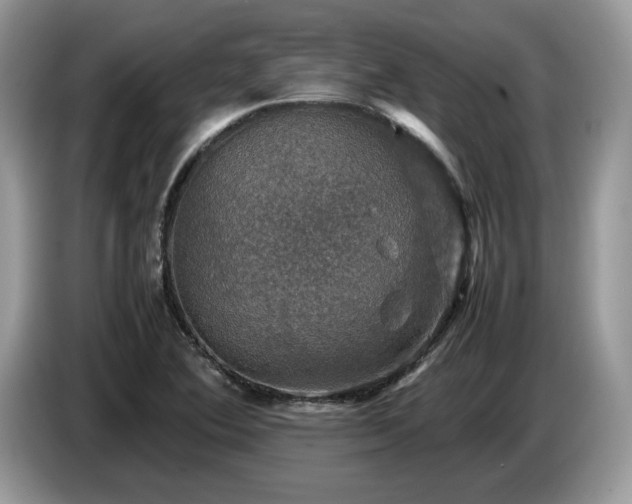 X0000087621364200704271351