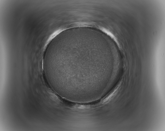 X0000087621365200704271351