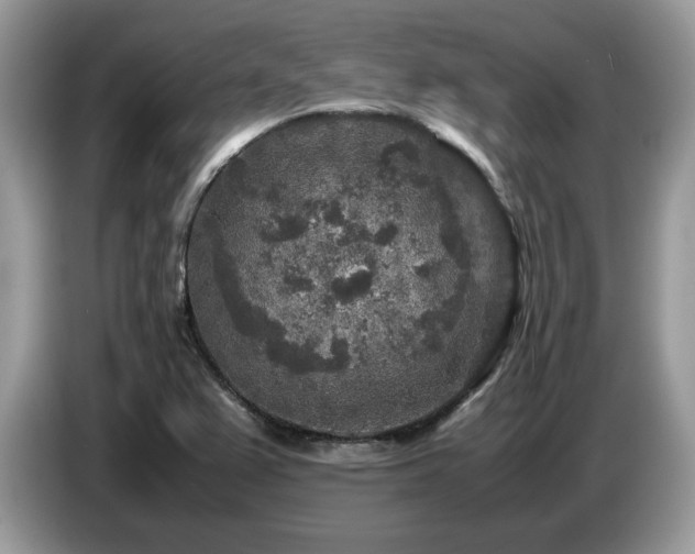 X0000087621367200704271351