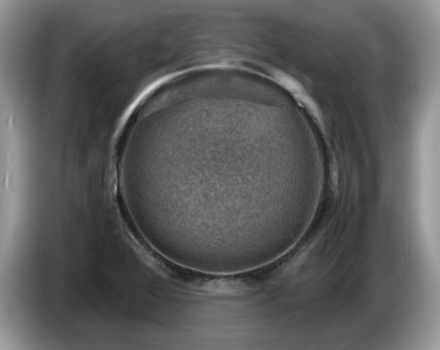 X0000087621368200704271351
