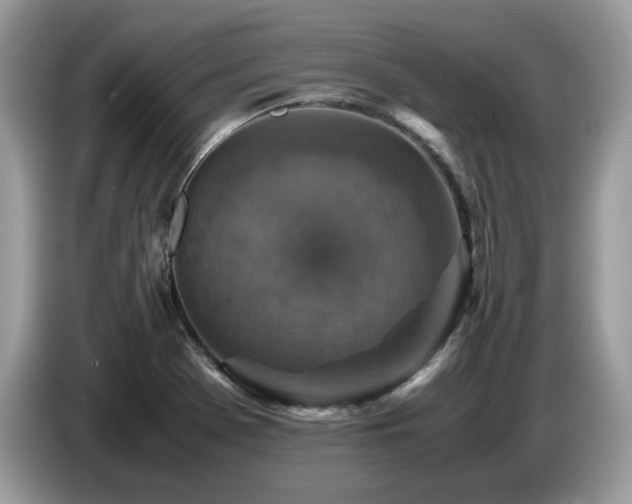 X0000087621369200704271351