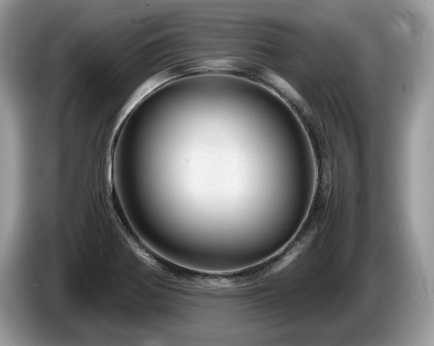 X0000087621370200704271351