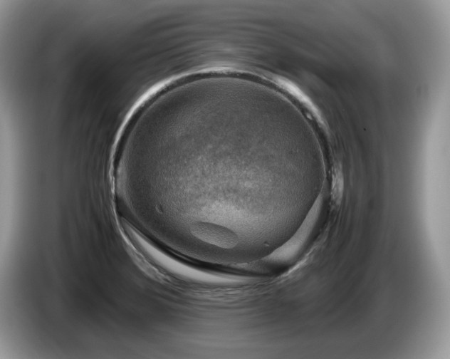 X0000087621372200704271351