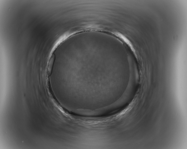 X0000087621373200704271351