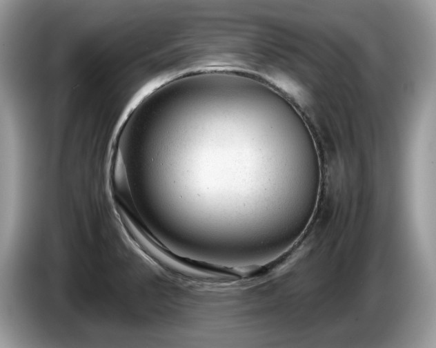 X0000087621374200704271351