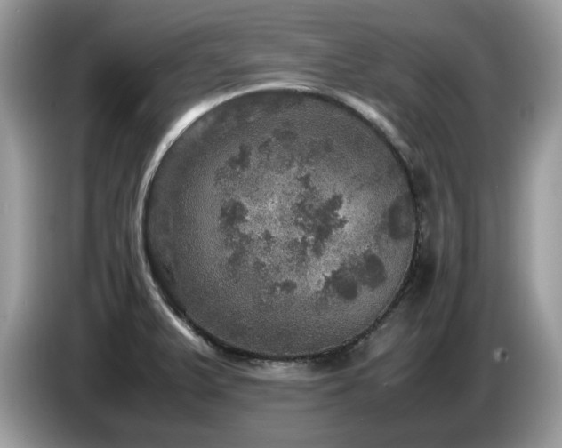 X0000087621375200704271351
