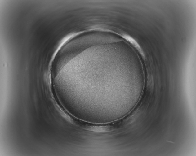 X0000087621376200704271351