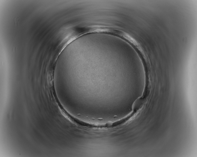 X0000087621377200704271351