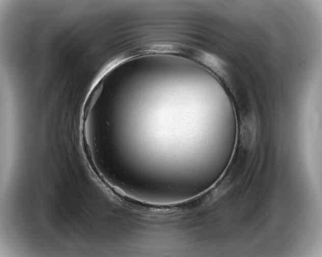 X0000087621378200704271351