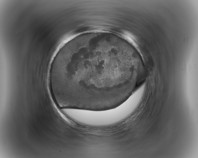X0000087621379200704271351