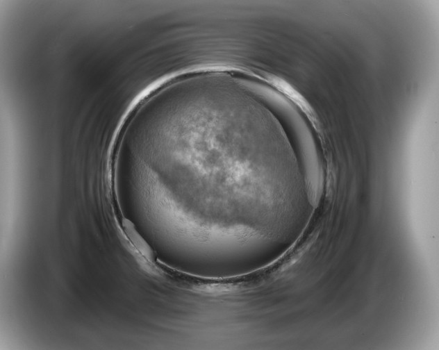 X0000087621380200704271351