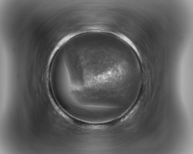 X0000087621381200704271351