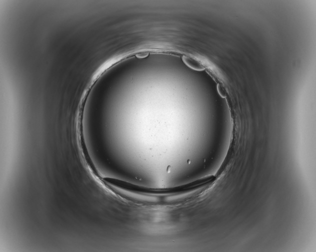X0000087621382200704271351