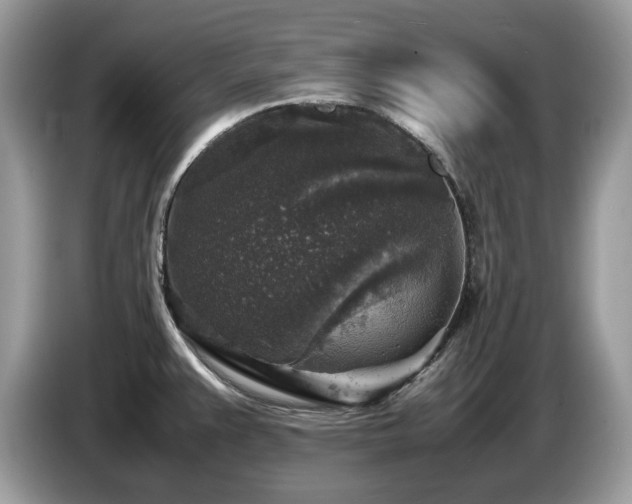 X0000087621383200704271351