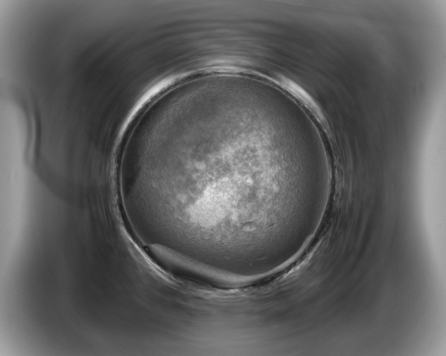 X0000087621384200704271351