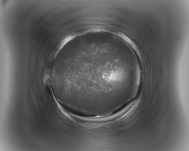 X0000087621385200704271351