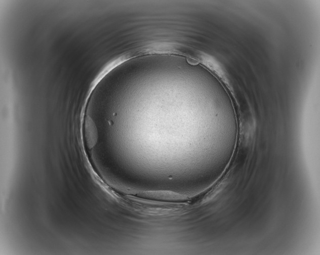 X0000087621386200704271351