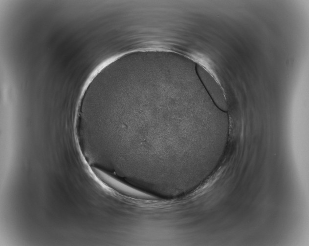 X0000087621387200704271351