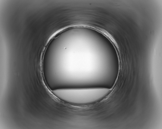X0000087621388200704271351