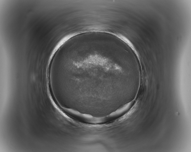 X0000087621389200704271351